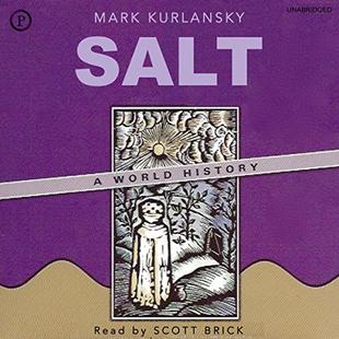Salt: A World History audiobook cover