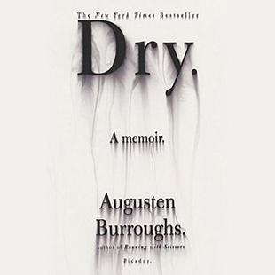 Dry: A Memoir audiobook cover