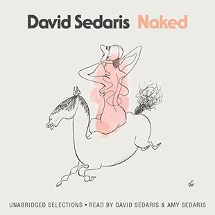 Naked audiobook cover