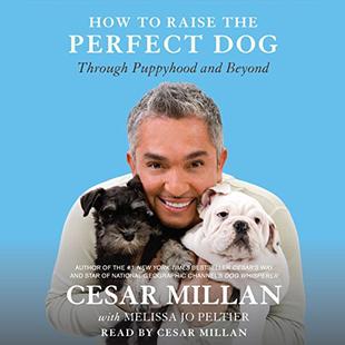 How to Raise the Perfect Dog: Through Puppyhood and Beyond audiobook cover