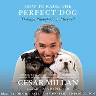 How to Raise the Perfect Dog: Through Puppyhood and Beyond audiobook cover