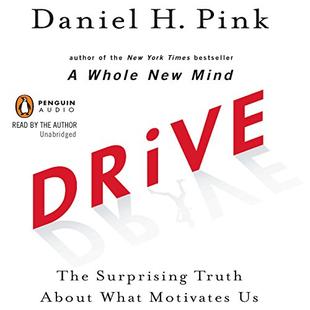 Drive: The Surprising Truth About What Motivates Us audiobook cover