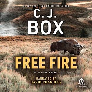 Free Fire audiobook cover