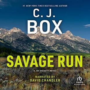 Savage Run: A Joe Pickett Novel audiobook cover