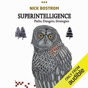 Superintelligence: Paths, Dangers, Strategies audiobook cover