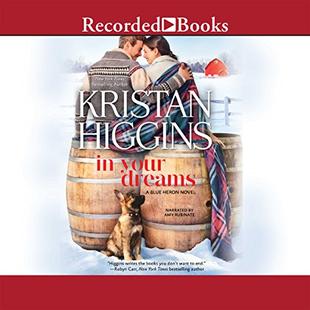 In Your Dreams audiobook cover