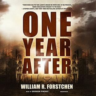 One Year After audiobook cover