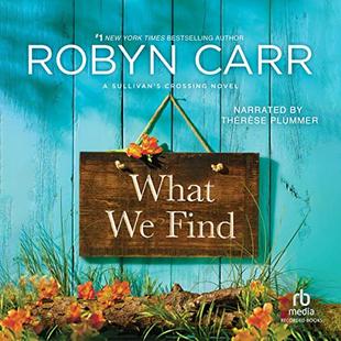 What We Find audiobook cover