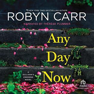 Any Day Now audiobook cover