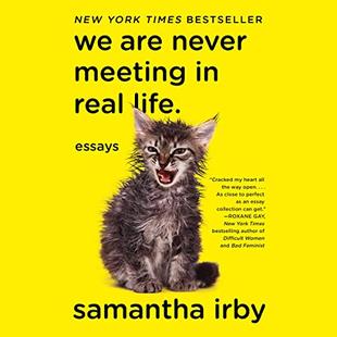 We Are Never Meeting in Real Life: Essays audiobook cover