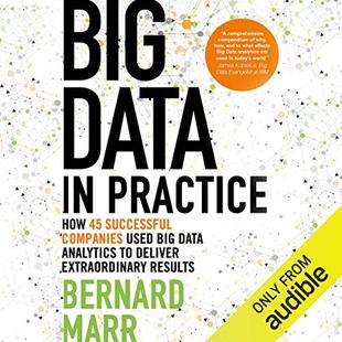 Big Data in Practice: How 45 Successful Companies Used Big Data Analytics to Deliver Extraordinary Results audiobook cover