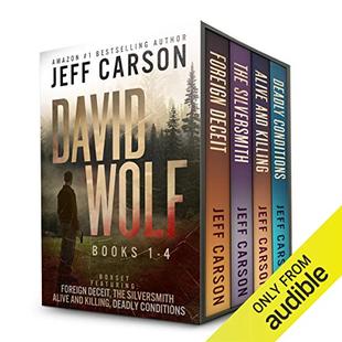 The David Wolf Mystery Thriller Series: Books 1-4 audiobook cover