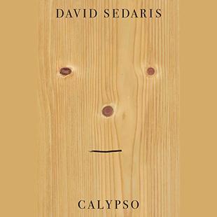 Calypso audiobook cover