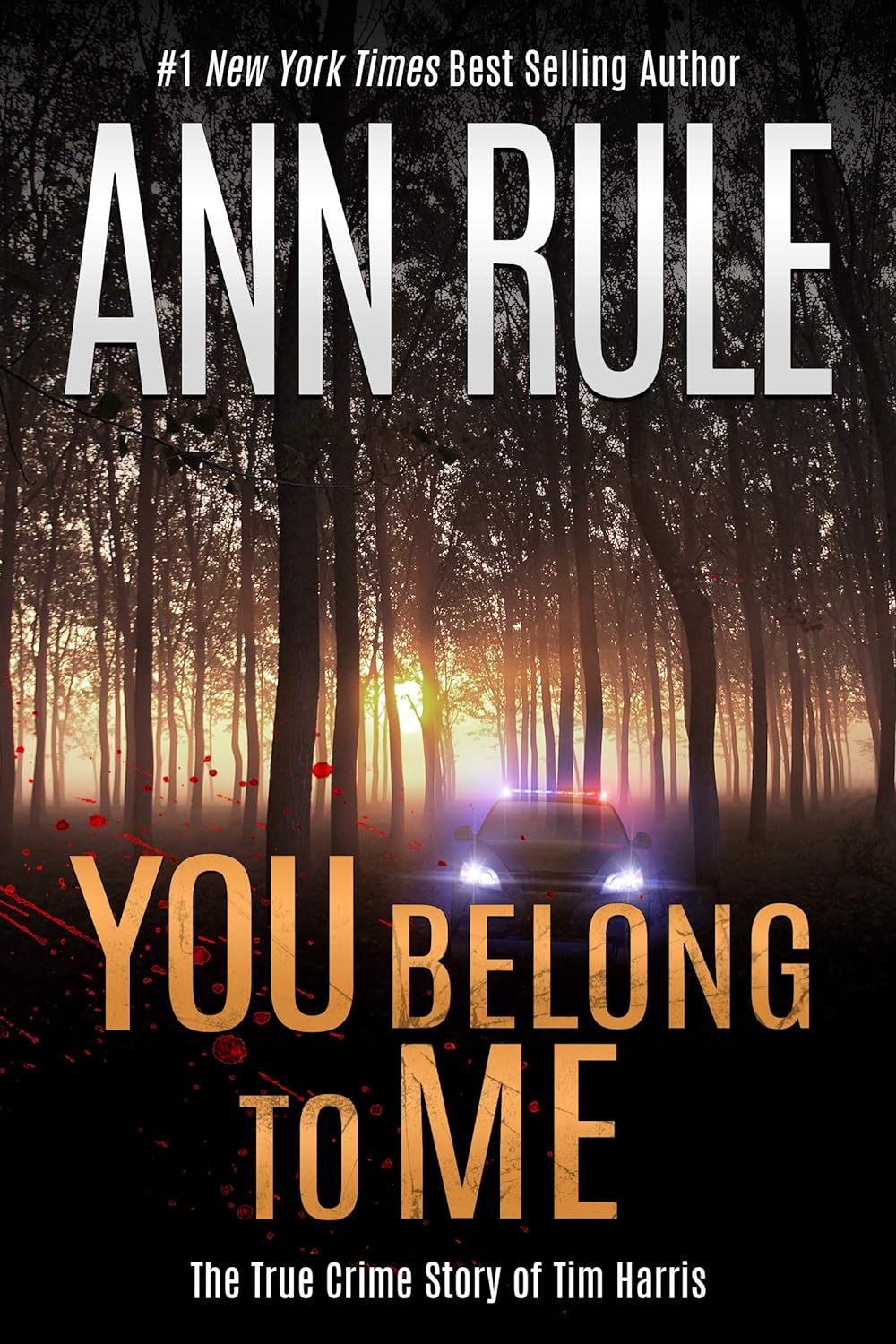 You Belong to Me audiobook cover