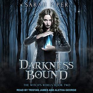 Darkness Bound: A Reverse Harem Paranormal Romance: Witch's Rebels Series, Book 2 audiobook cover