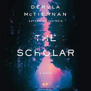 The Scholar: The Cormac Reilly Series, Book 2 audiobook cover