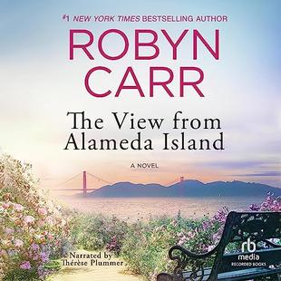 The View from Alameda Island audiobook cover