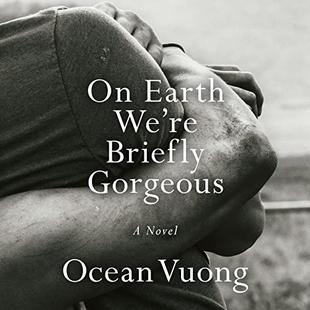 On Earth We're Briefly Gorgeous: A Novel audiobook cover