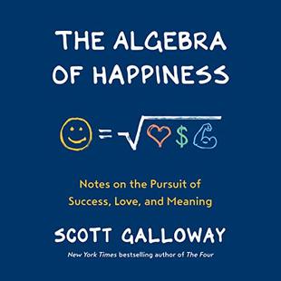 The Algebra of Happiness: Notes on the Pursuit of Success, Love, and Meaning audiobook cover