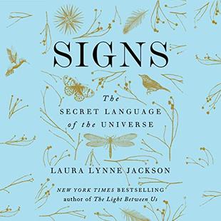 Signs: The Secret Language of the Universe audiobook cover