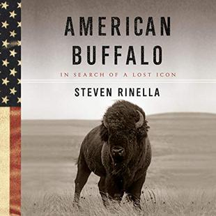 American Buffalo: In Search of a Lost Icon audiobook cover