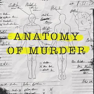 Anatomy of Murder audiobook cover