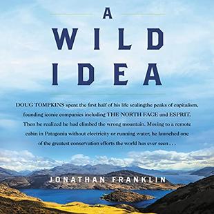A Wild Idea audiobook cover
