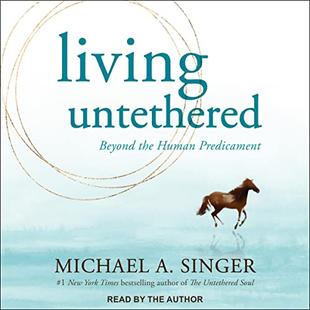 Living Untethered: Beyond the Human Predicament audiobook cover