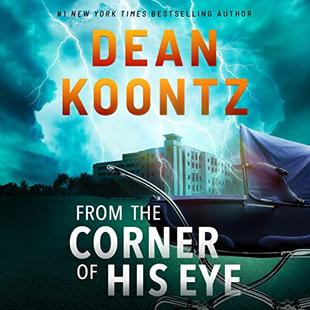 From the Corner of His Eye: A Novel audiobook cover