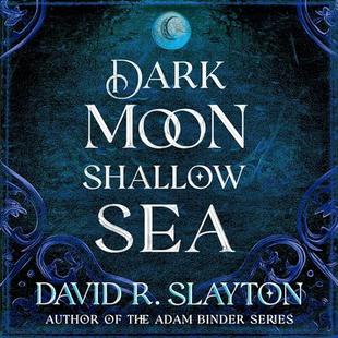 Dark Moon, Shallow Sea: The Gods of Night and Day Series, Book 1 audiobook cover