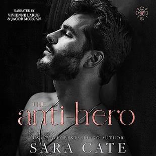 The Anti-Hero: The Goode Brothers audiobook cover